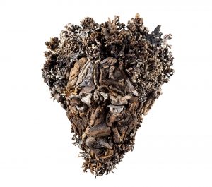 the wall hanging relief faces