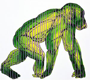 manifestations of the human condition through a portrait