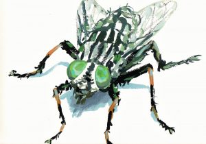 manifestations of the human condition through a portrait