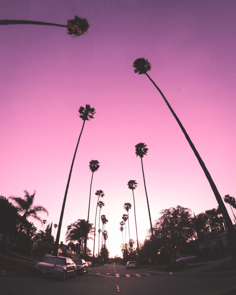 ocean waves brandon imbriale