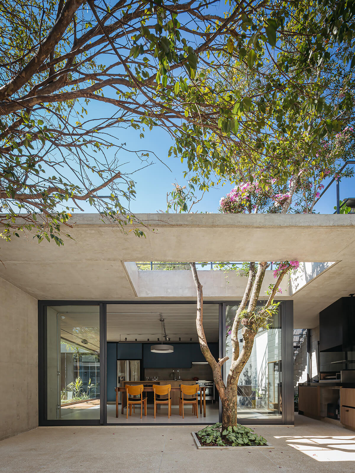 designing around nature